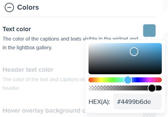 Screenshot showing expanded color picker with selected color for the text color option.