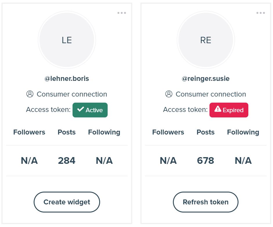 Screenshot from the accounts page on LightWidget website showing 2 different Instagram accounts. One with expired token and one with active.