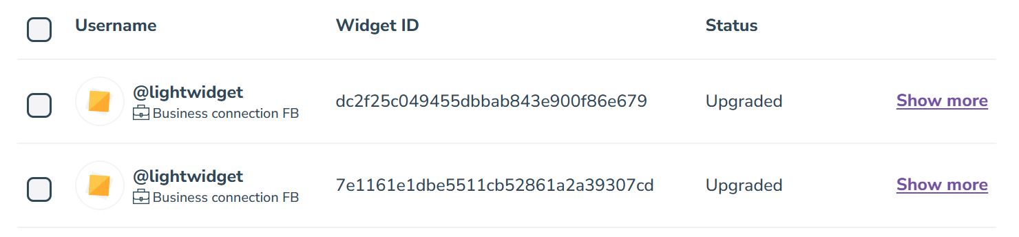 Screenshot from My Widgets page from LightWidget website showing 2 example widgets
