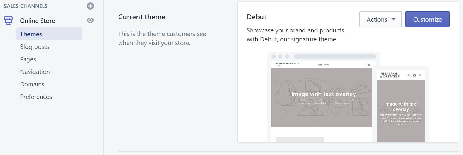 Screenshot showing where is the Customize theme button in Shopify.