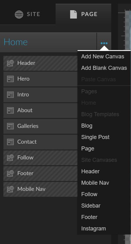 Screenshot showing how to add Instagram canvas to given page.